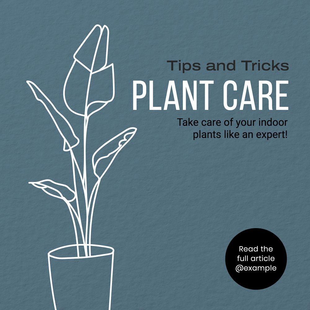 Plant care tips Instagram post template, editable text