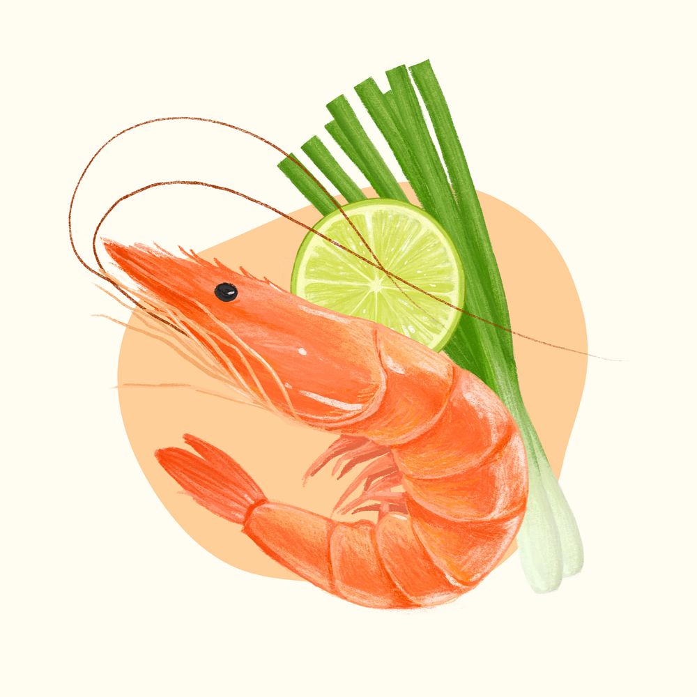 Boil shrimp, seafood illustration, editable design