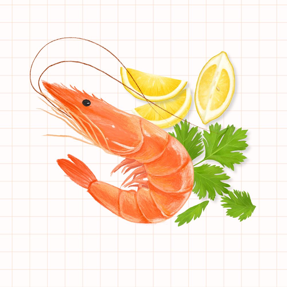 Boil shrimp, seafood illustration, editable design