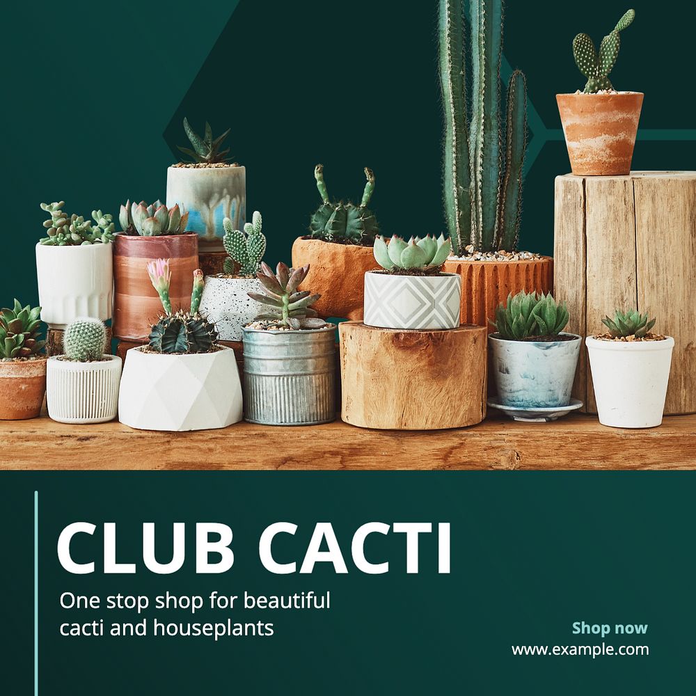 Club cacti Instagram post template, editable text