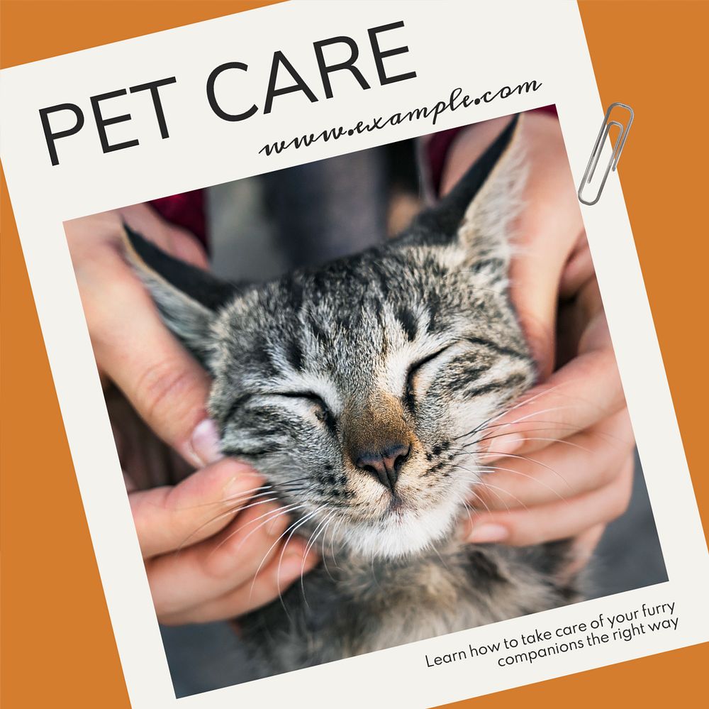 Pet care tutorials Instagram post template, editable text