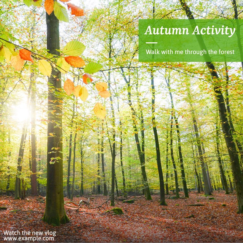 Autumn forest walk Instagram post template, editable text