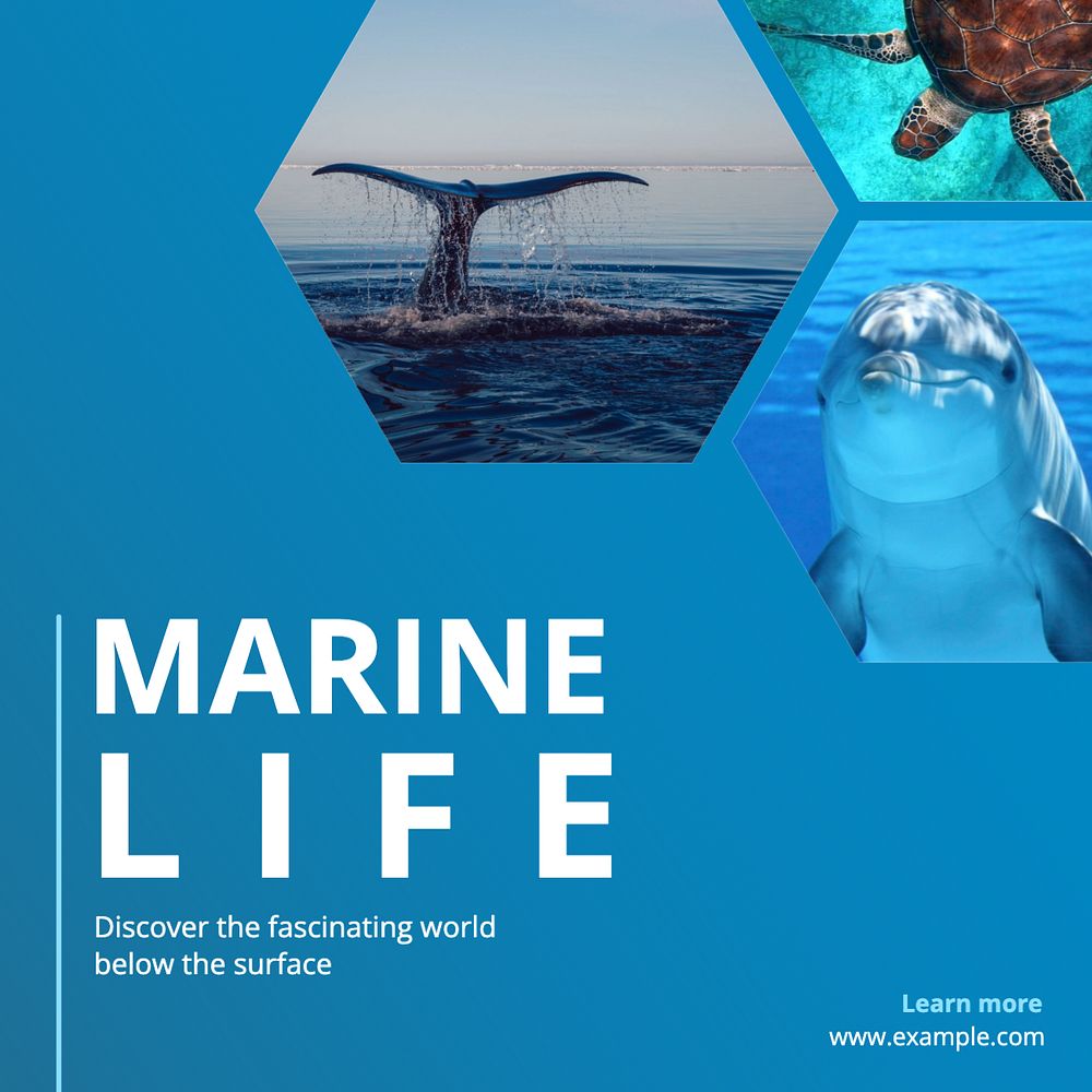 Marine life Instagram post template, editable text