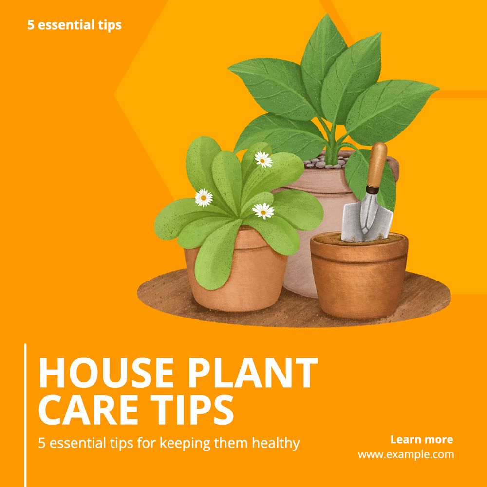 House plant care Instagram post template, editable text