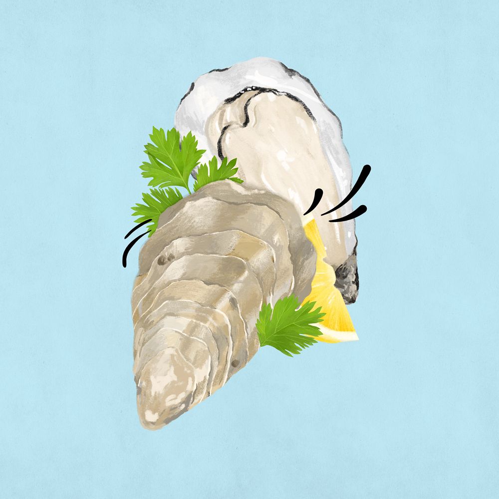 Fresh oyster, seafood illustration, editable design