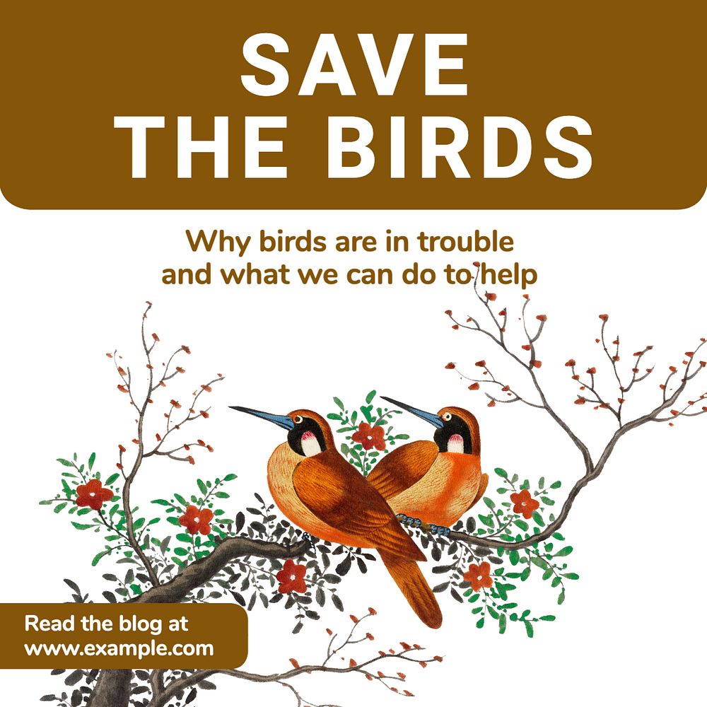 Save the birds Instagram post template, editable text