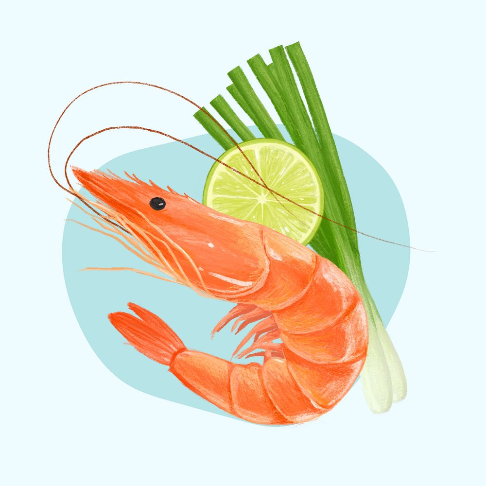 Boil shrimp, seafood illustration, editable design