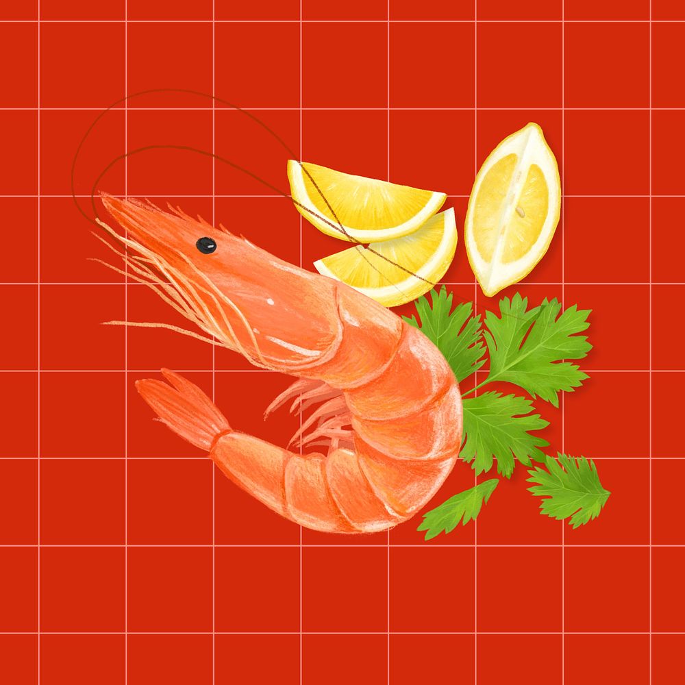 Boil shrimp, seafood illustration, editable design