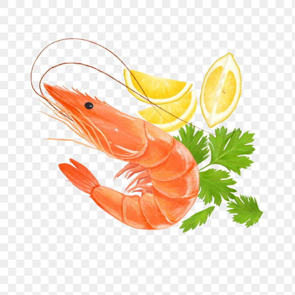 Boil shrimp, seafood png illustration, editable design