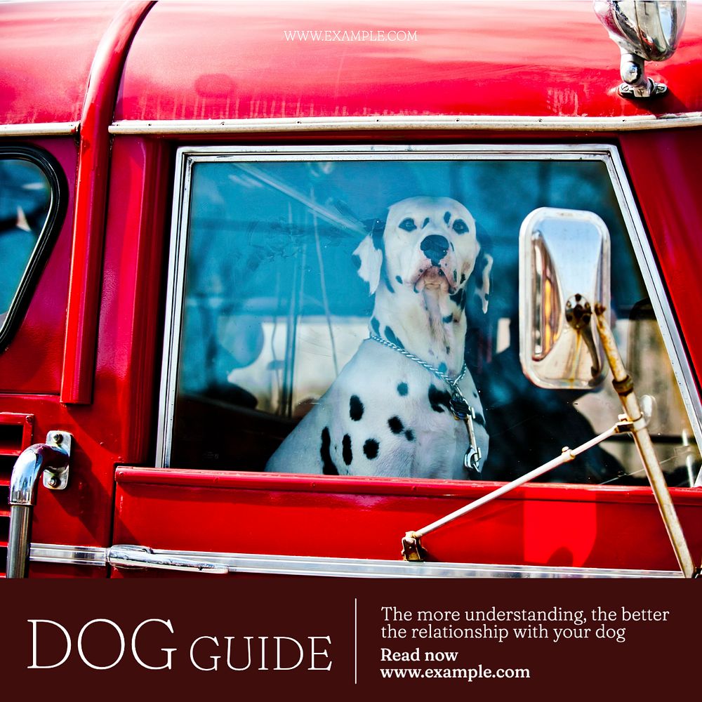 Dog guide Instagram post template, editable text