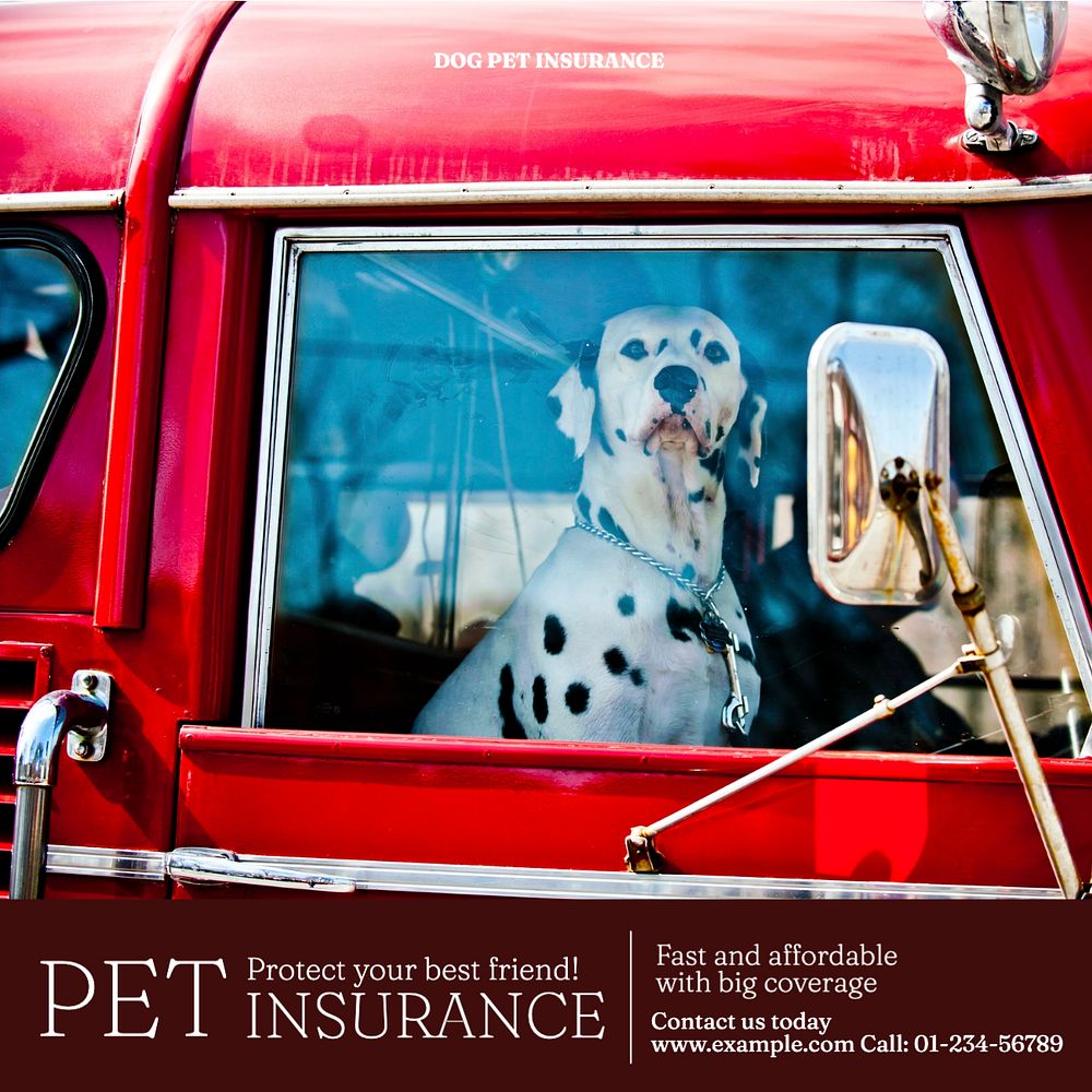 Pet insurance Instagram post template, editable text