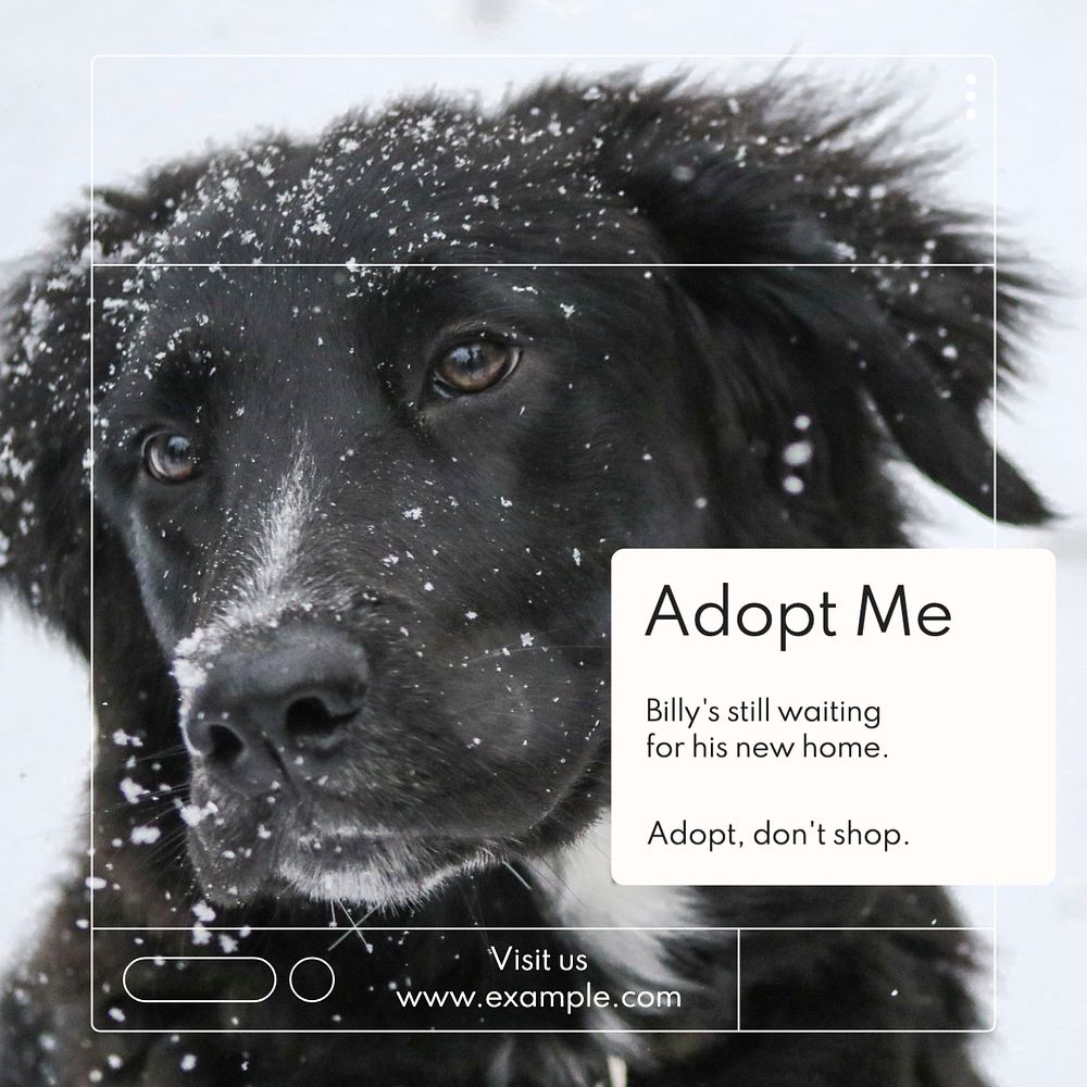 Adopt don't shop Instagram post template, editable text