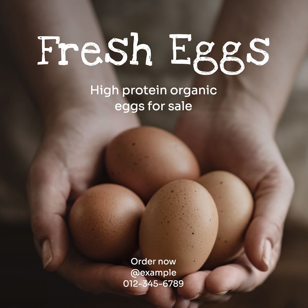 Fresh eggs  Instagram post template, editable text