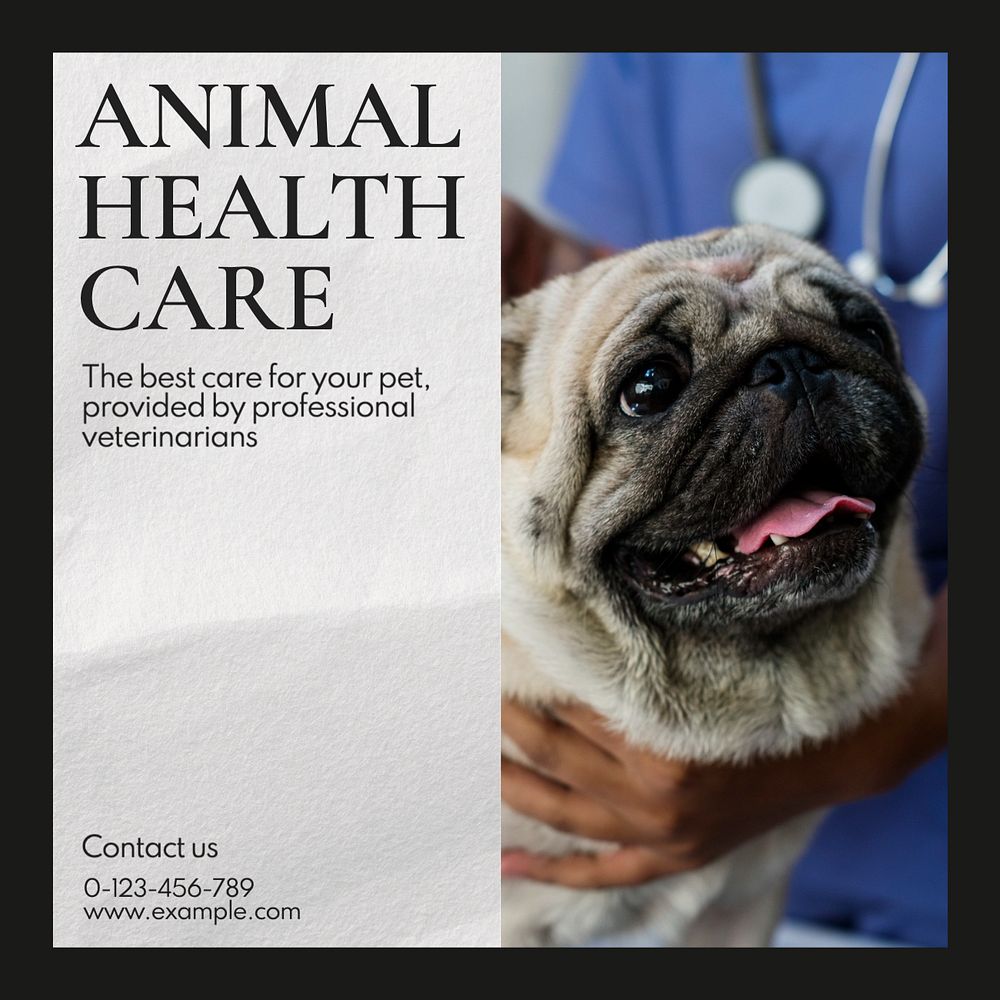 Animal health care Instagram post template, editable text