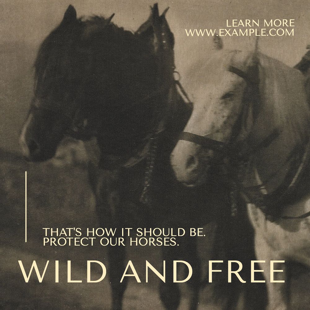 Protect horses Instagram post template, editable text