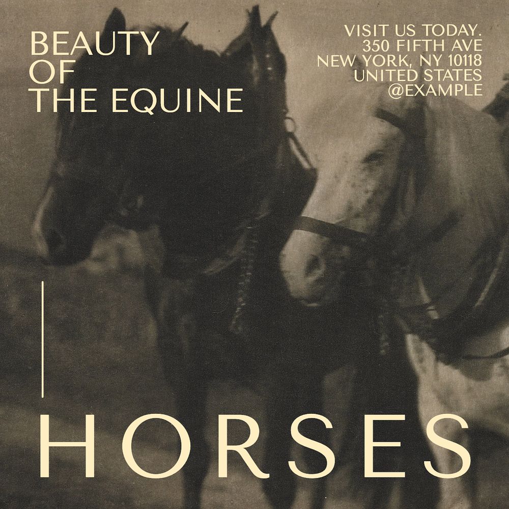 Beauty of horses Instagram post template, editable text