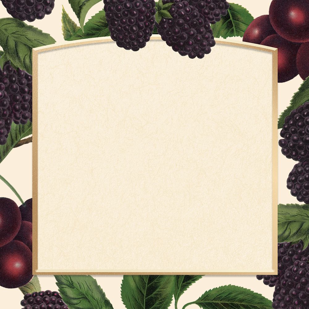 Blackberry and cherry frame, vintage illustration, editable design