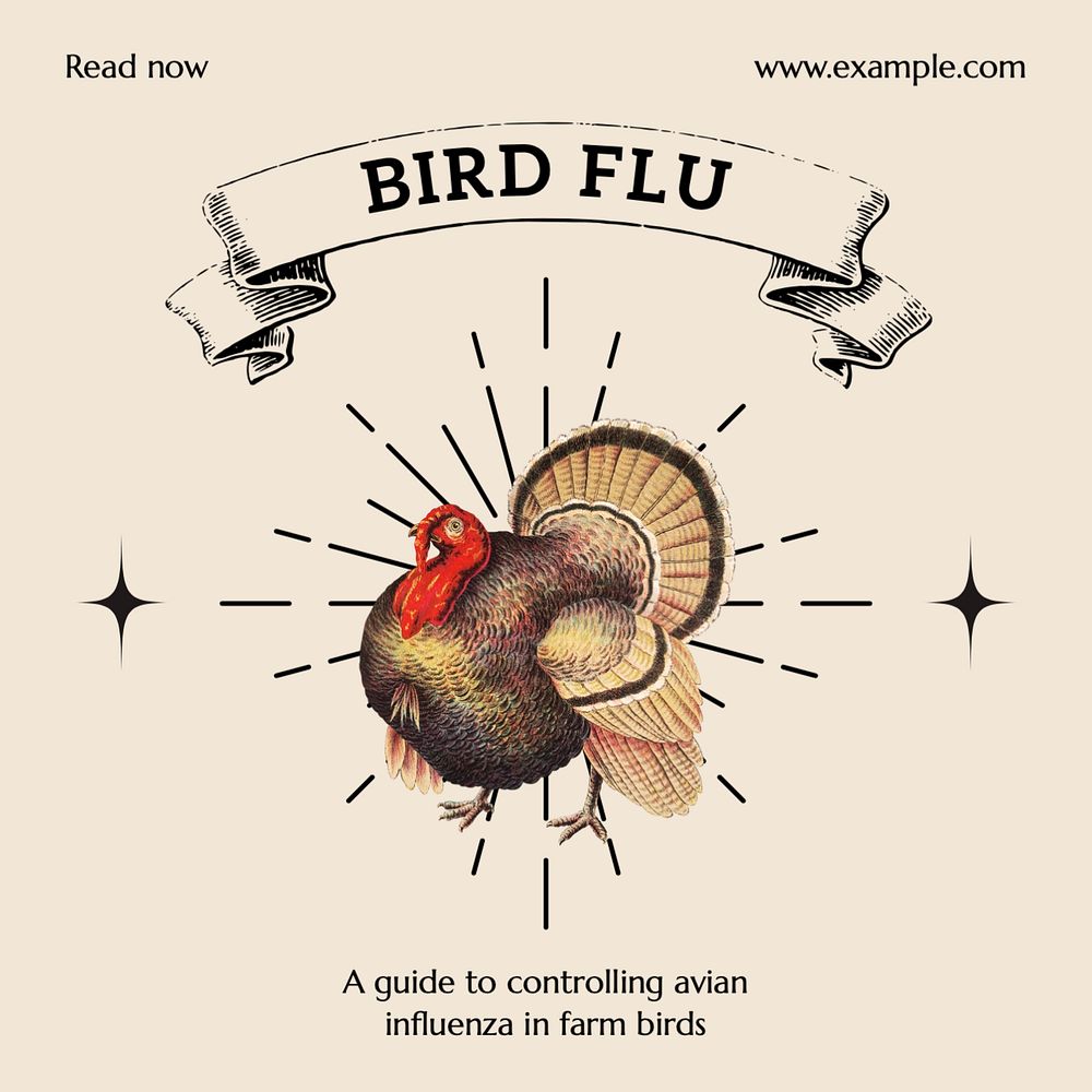 Bird flu Instagram post template, editable text