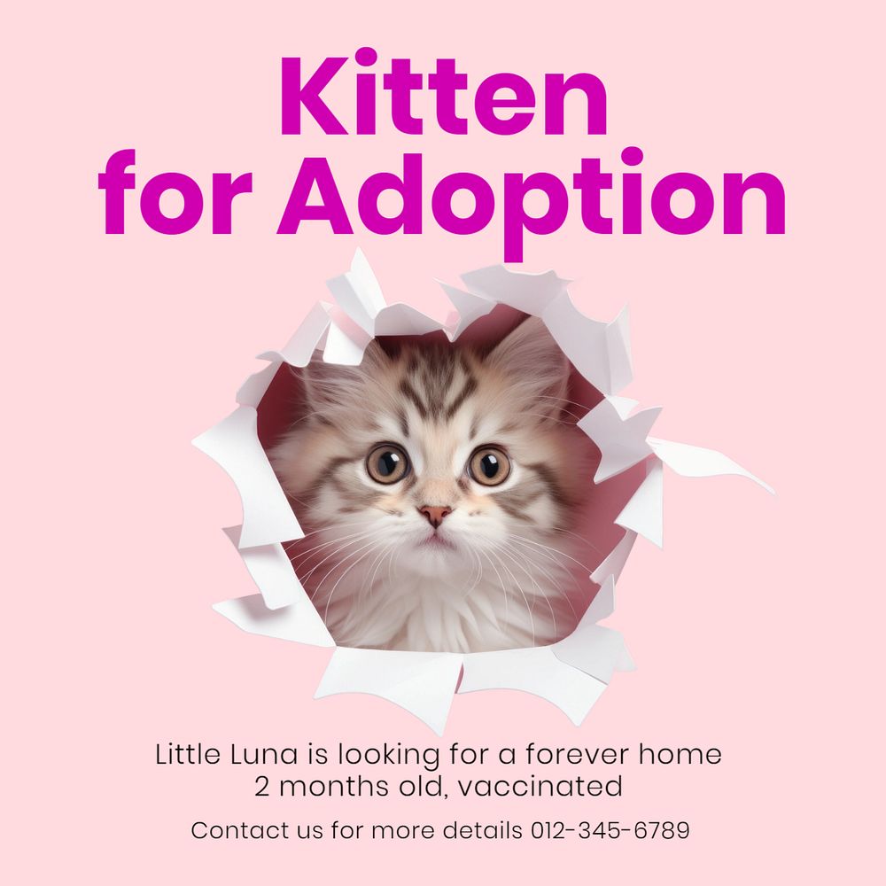 Kitten for adoption Instagram post template, editable text