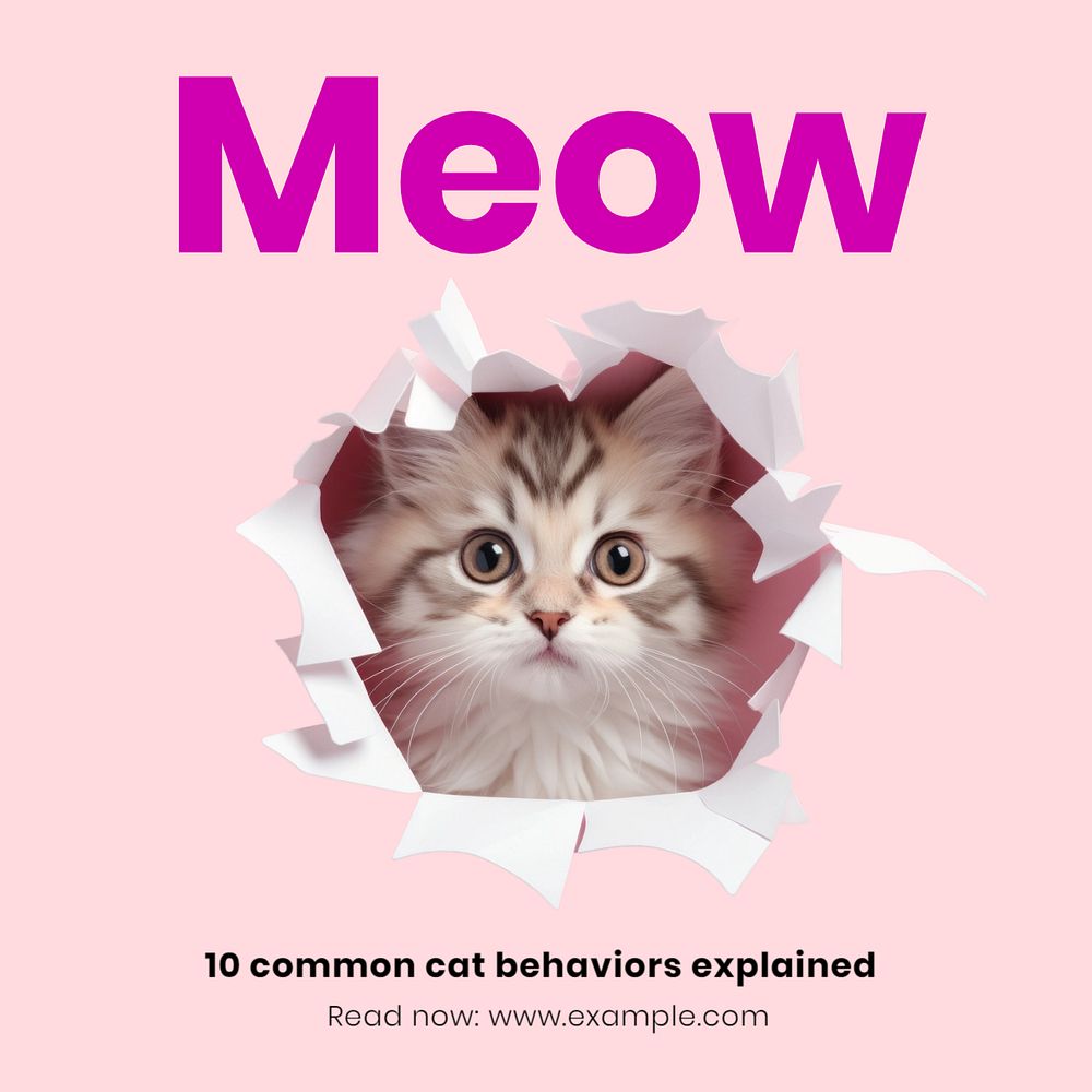 Cat & kitten Instagram post template, editable text