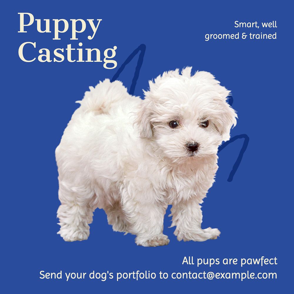 Puppy casting Instagram post template, editable text