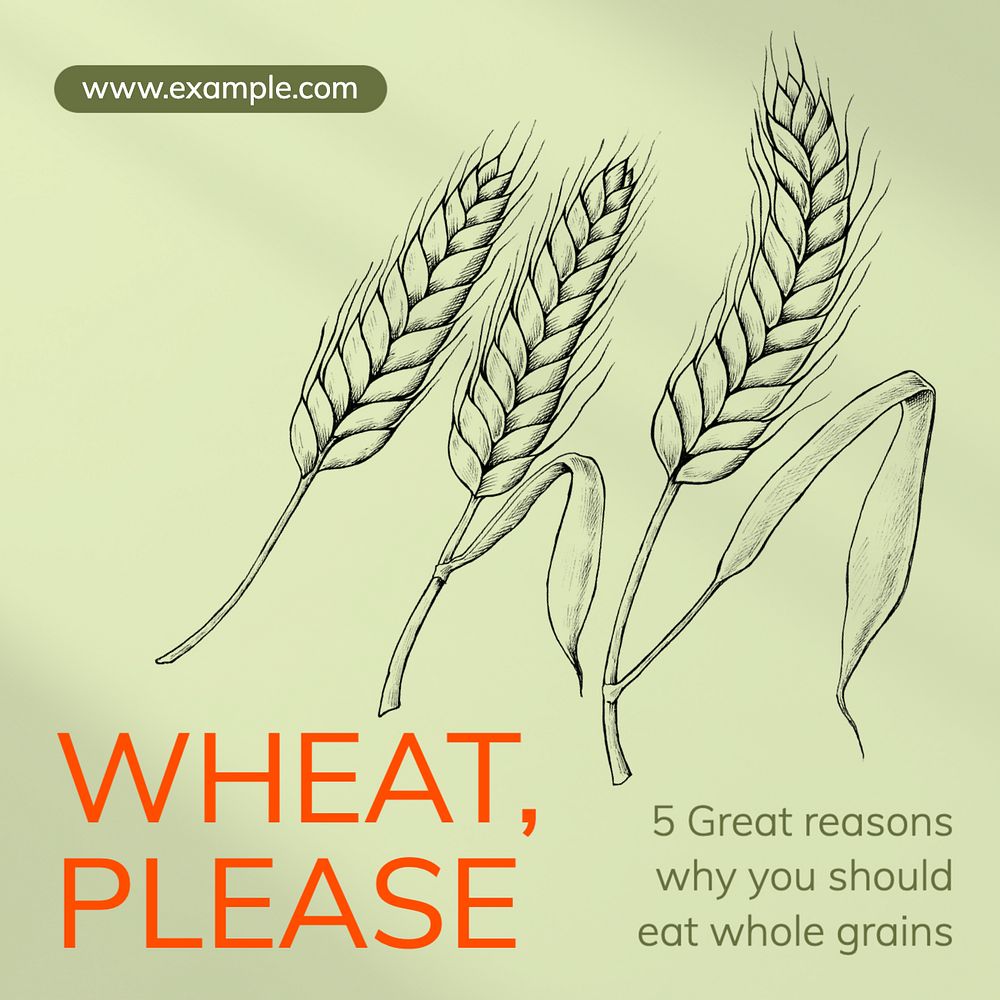 Health blog whole grains Instagram post template, editable text