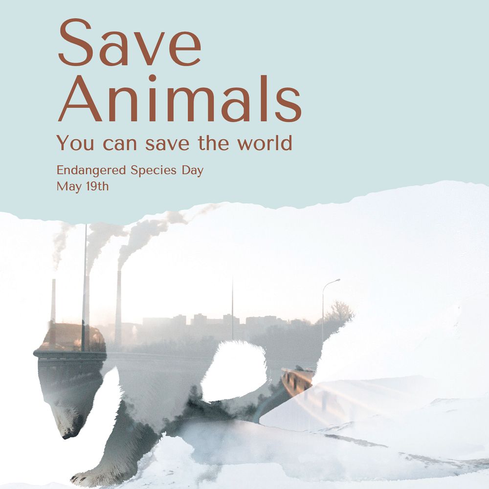 Save animals Instagram post template, editable text