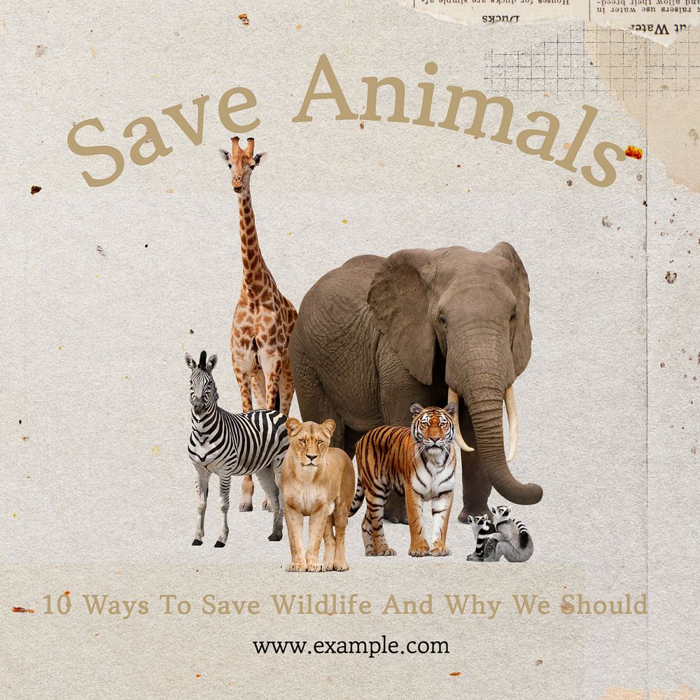 Save animals Instagram post template, editable text