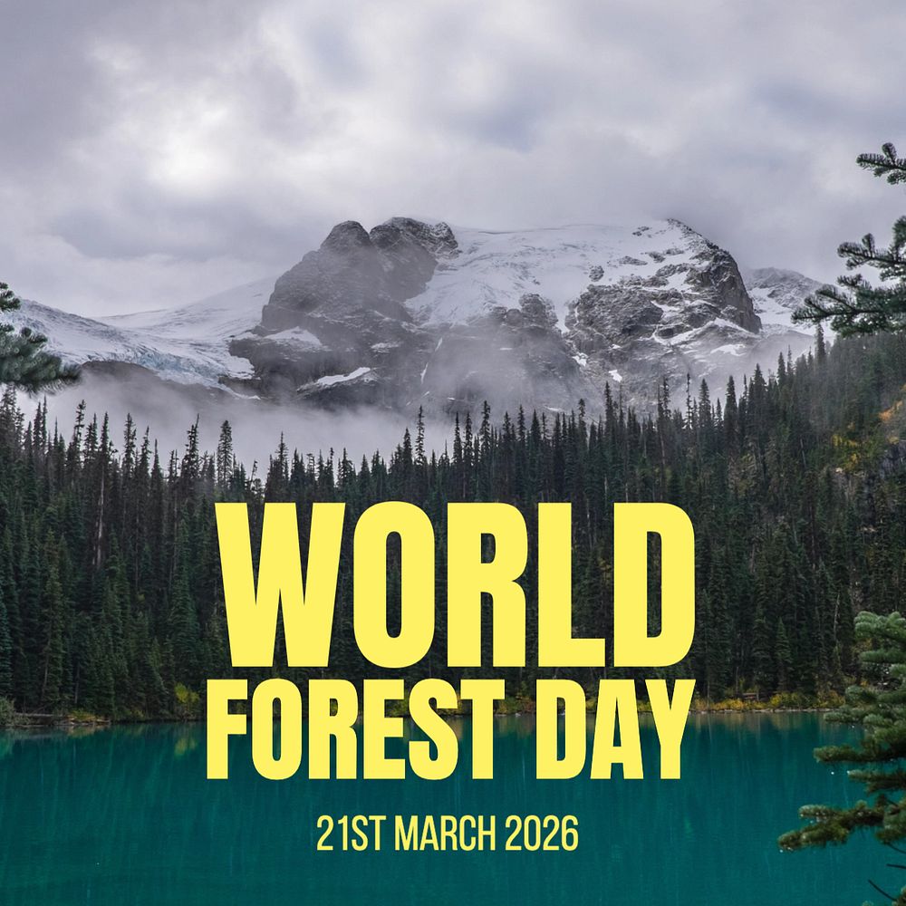 World forest day Instagram post template, editable text