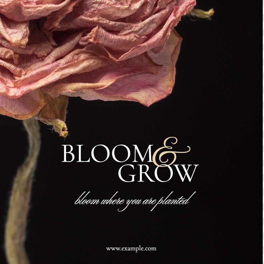 Bloom & grow  Instagram post template, editable text