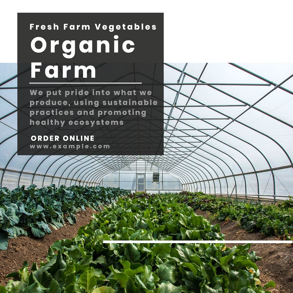 Organic farm  Instagram post template, editable text