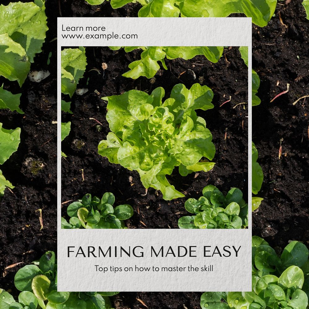 Farming made easy  Instagram post template, editable text