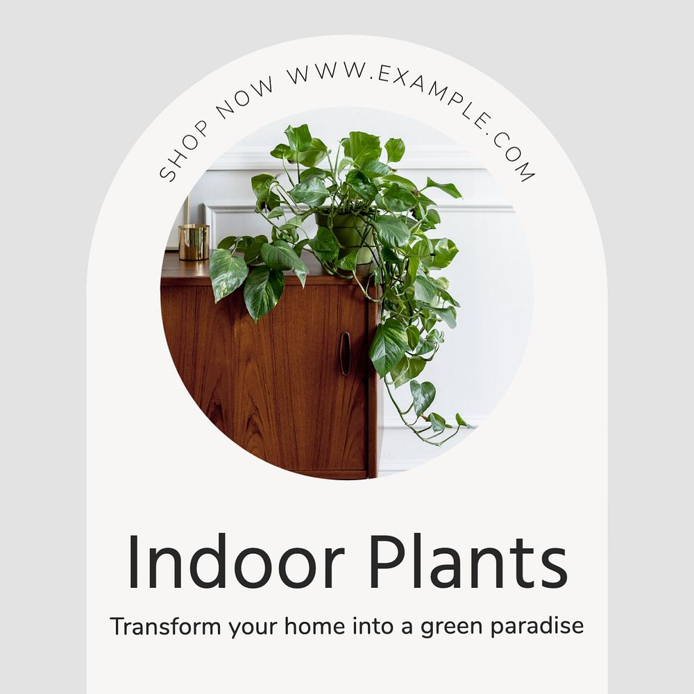 Indoor plants Instagram post template, editable text