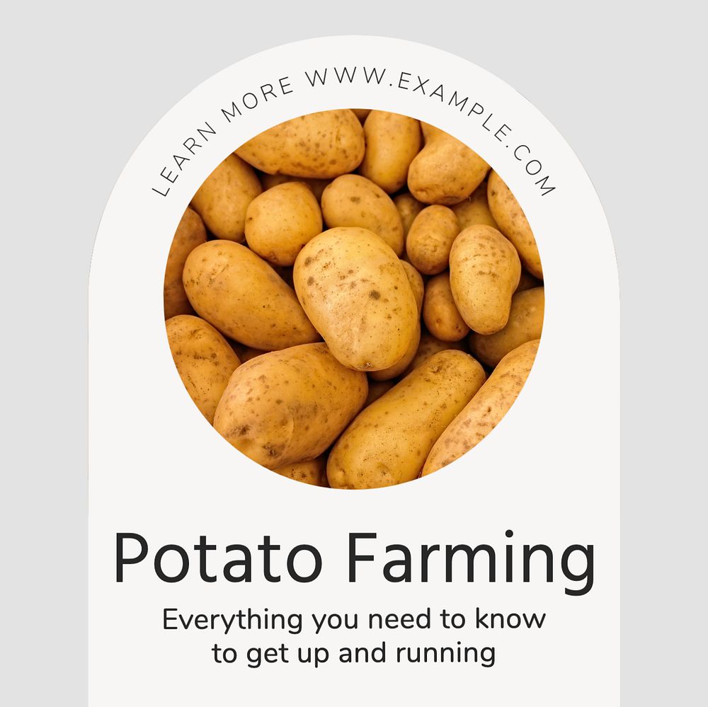 Potato farming Instagram post template, editable text