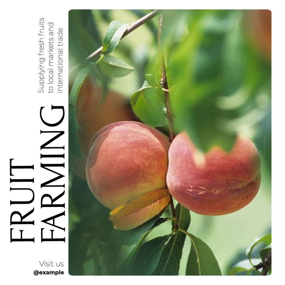 Fruit farming Instagram post template, editable design