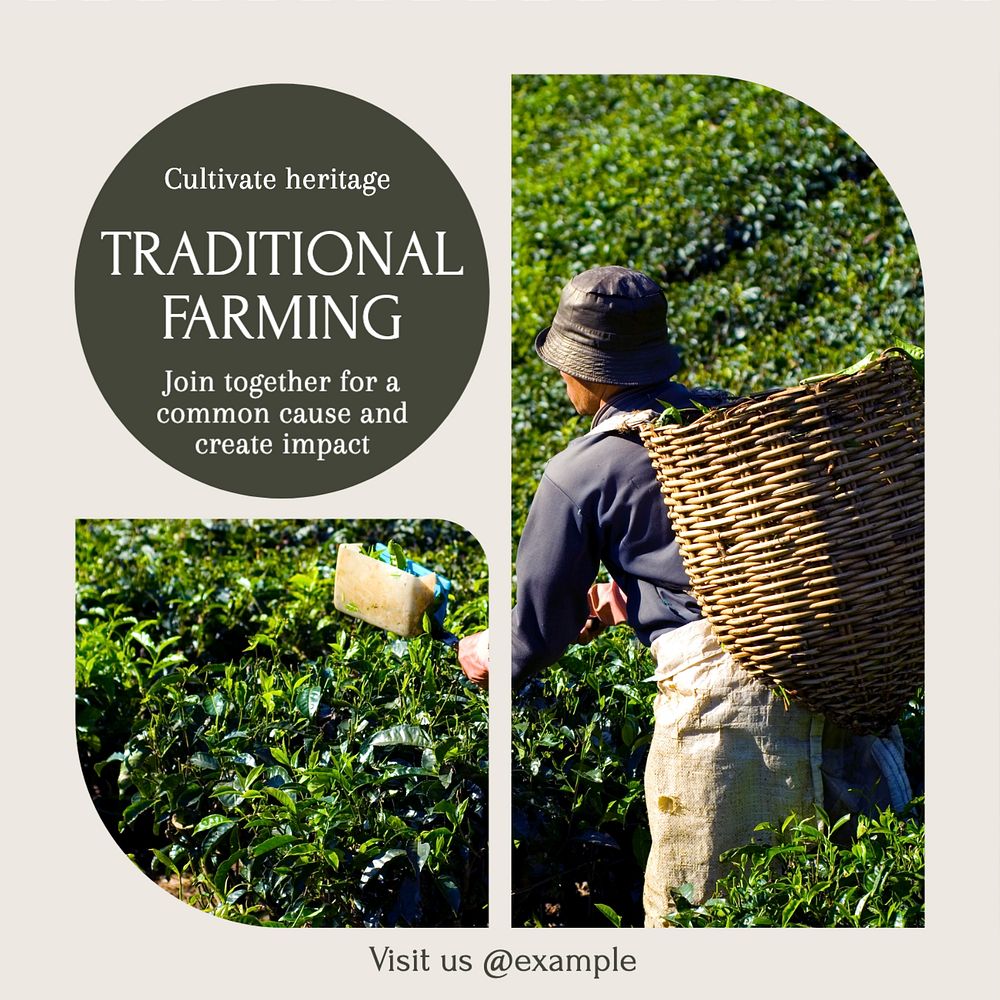 Traditional farming Instagram post template, editable design