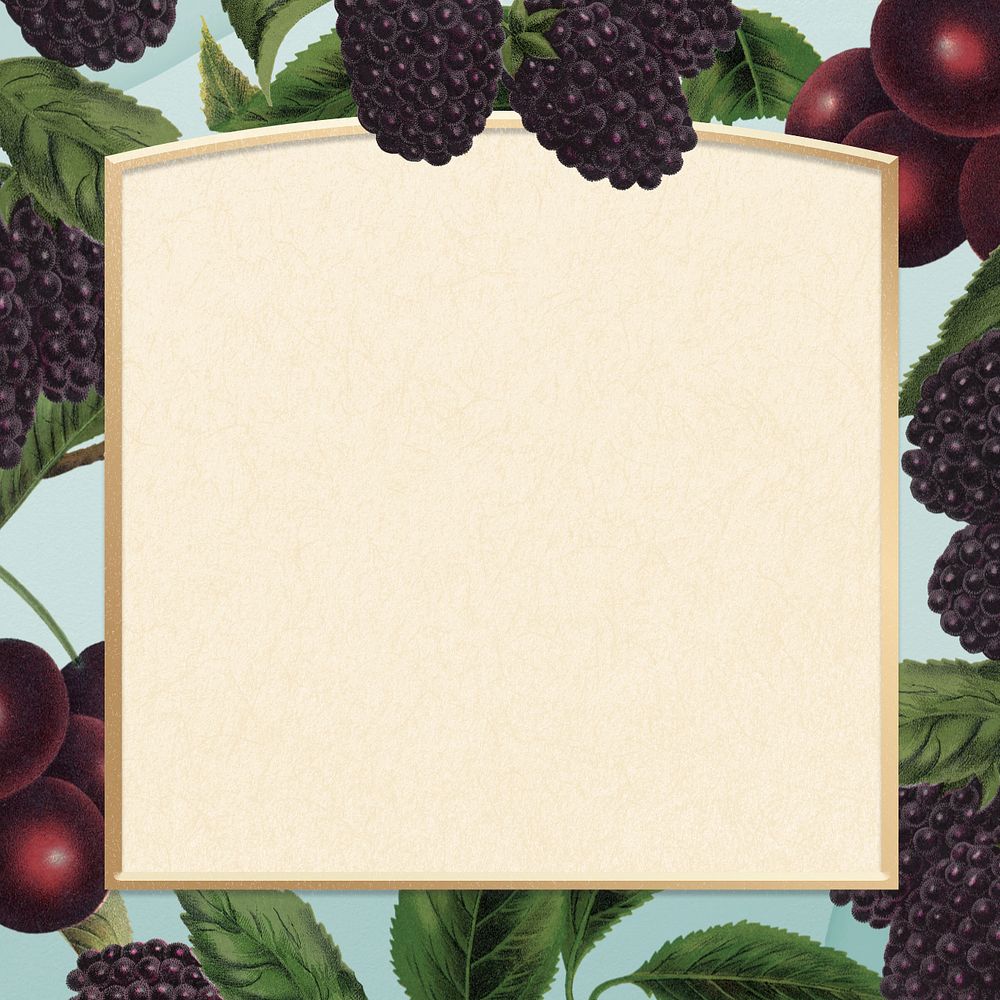 Blackberry and cherry frame, vintage illustration, editable design