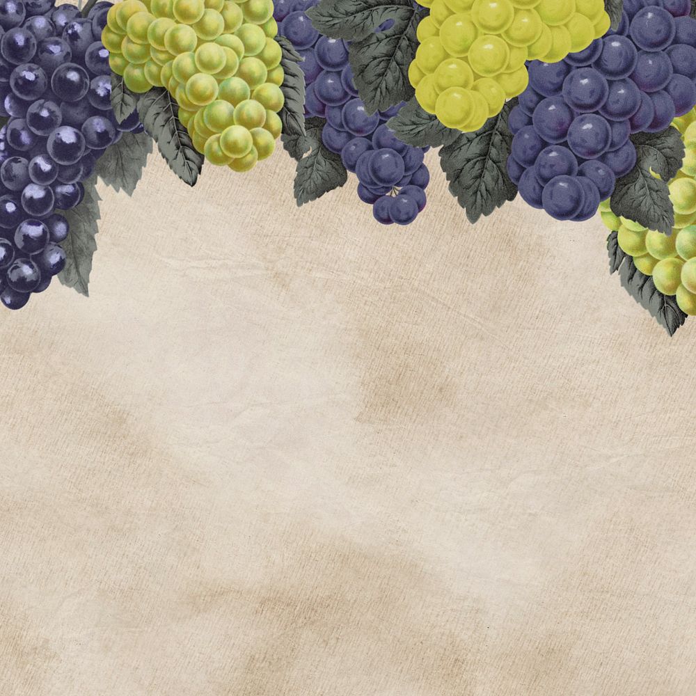 Grape border, vintage illustration, editable design