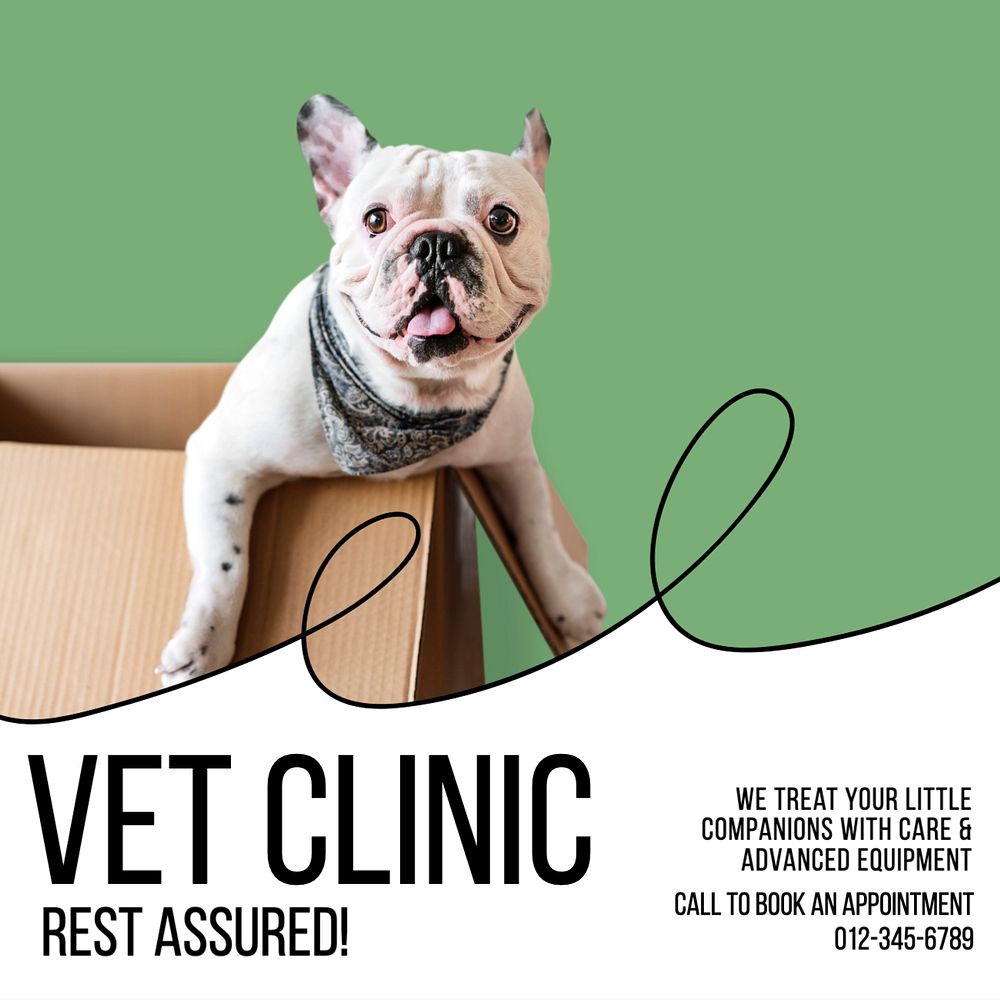 Vet clinic Instagram post template, editable text