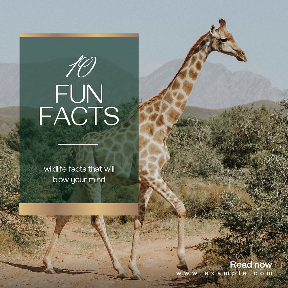 10 fun facts Instagram post template, editable text