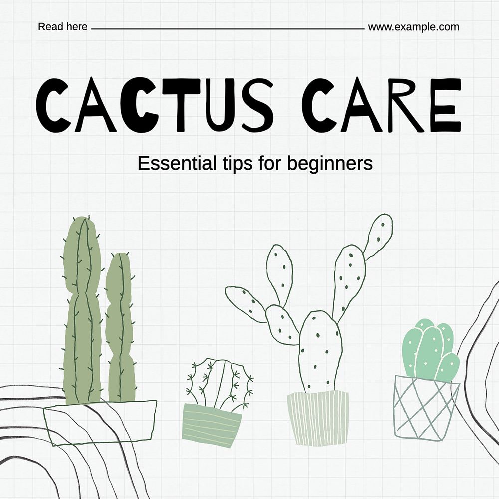 Cactus care Instagram post template, editable text