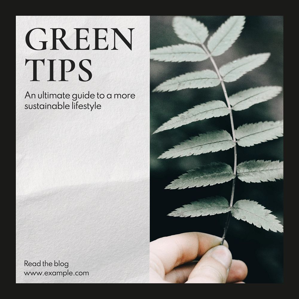 Green tips  Instagram post template, editable text