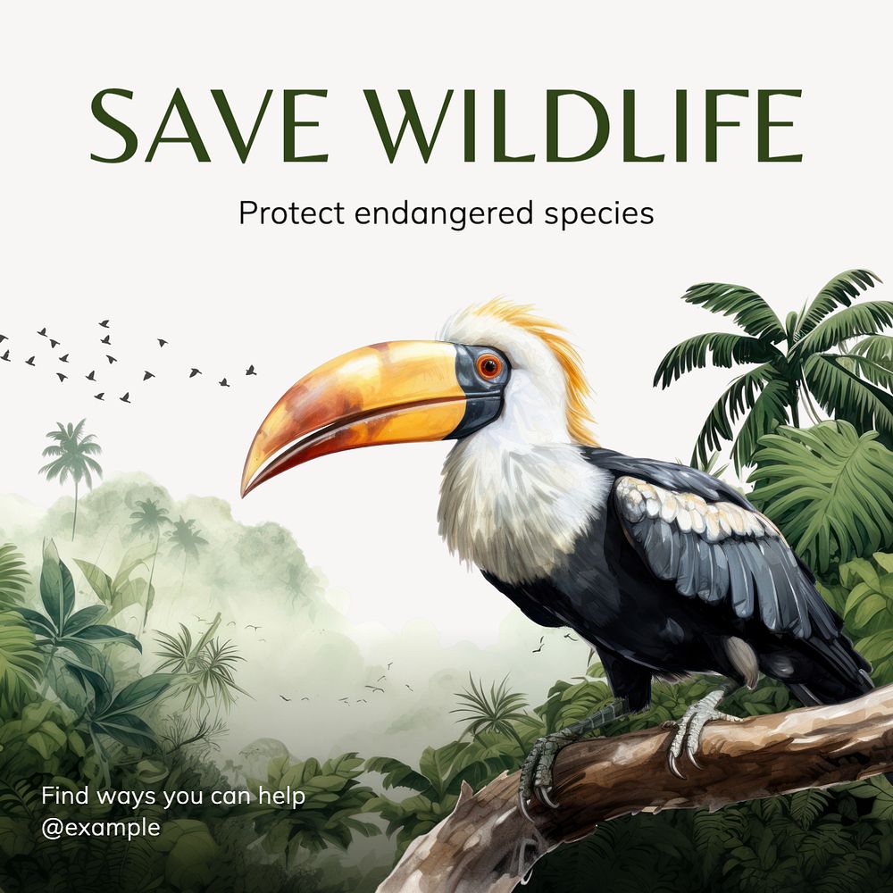 Save wildlife Instagram post template, editable text