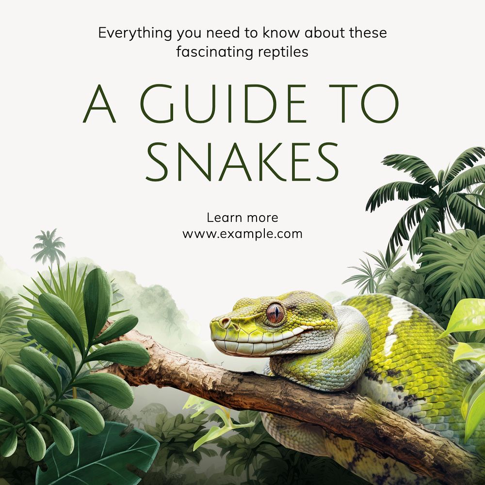 Snake guide Instagram post template, editable text