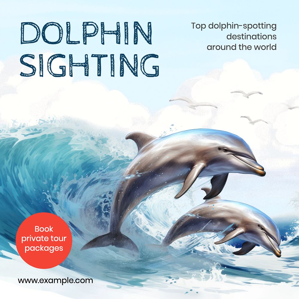 Dolphin sighting Instagram post template, editable text