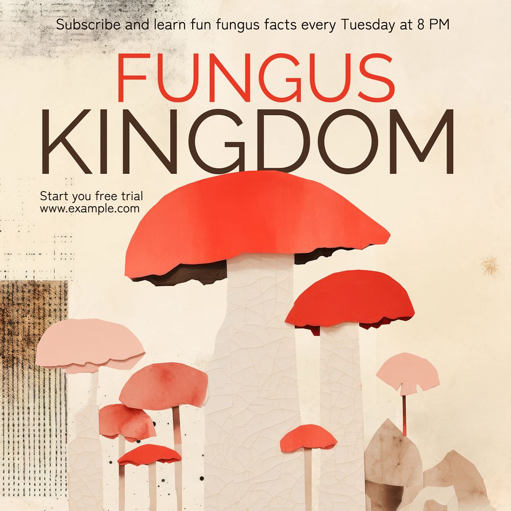 Fungus kingdom Instagram post template, editable text