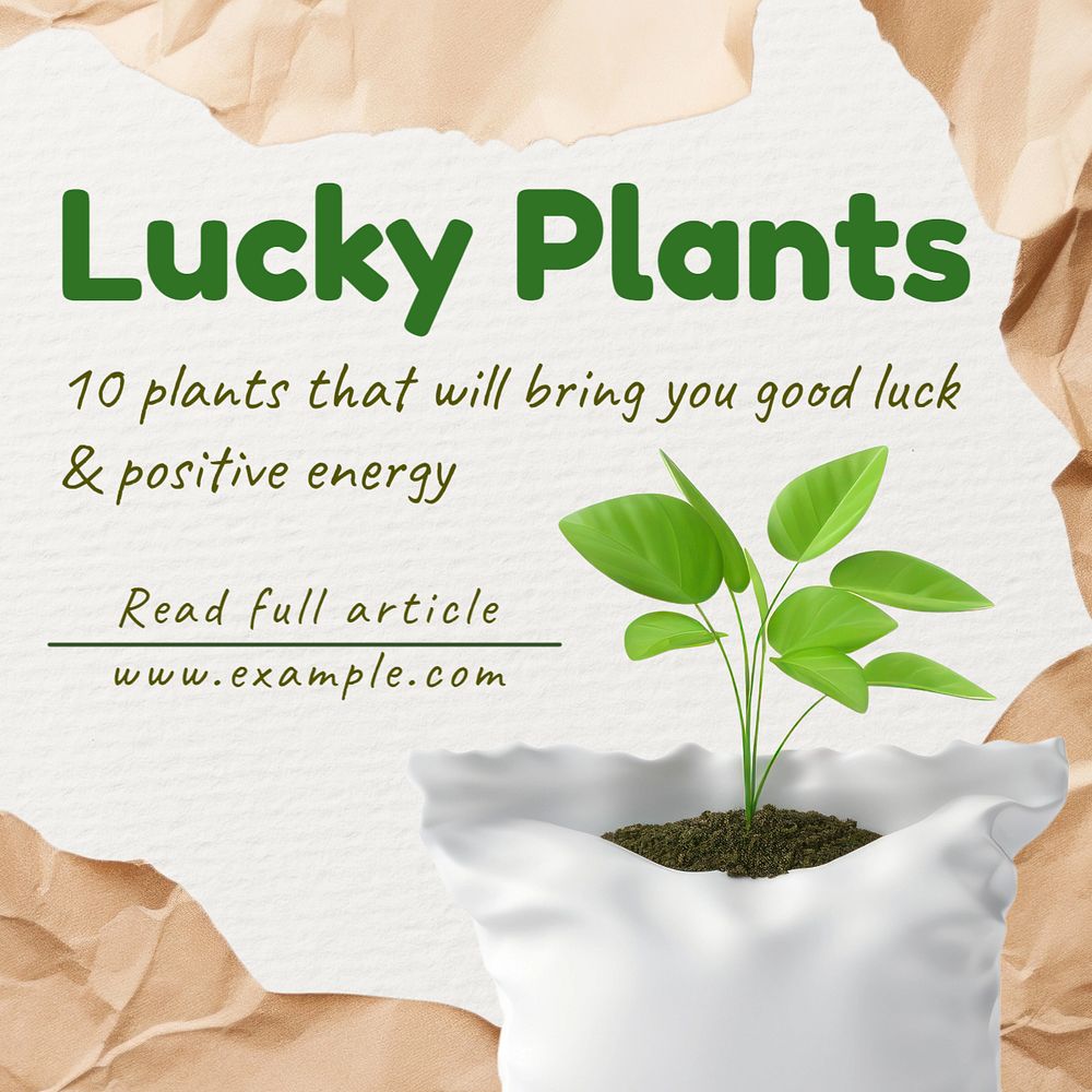 Lucky plants Instagram post template, editable text