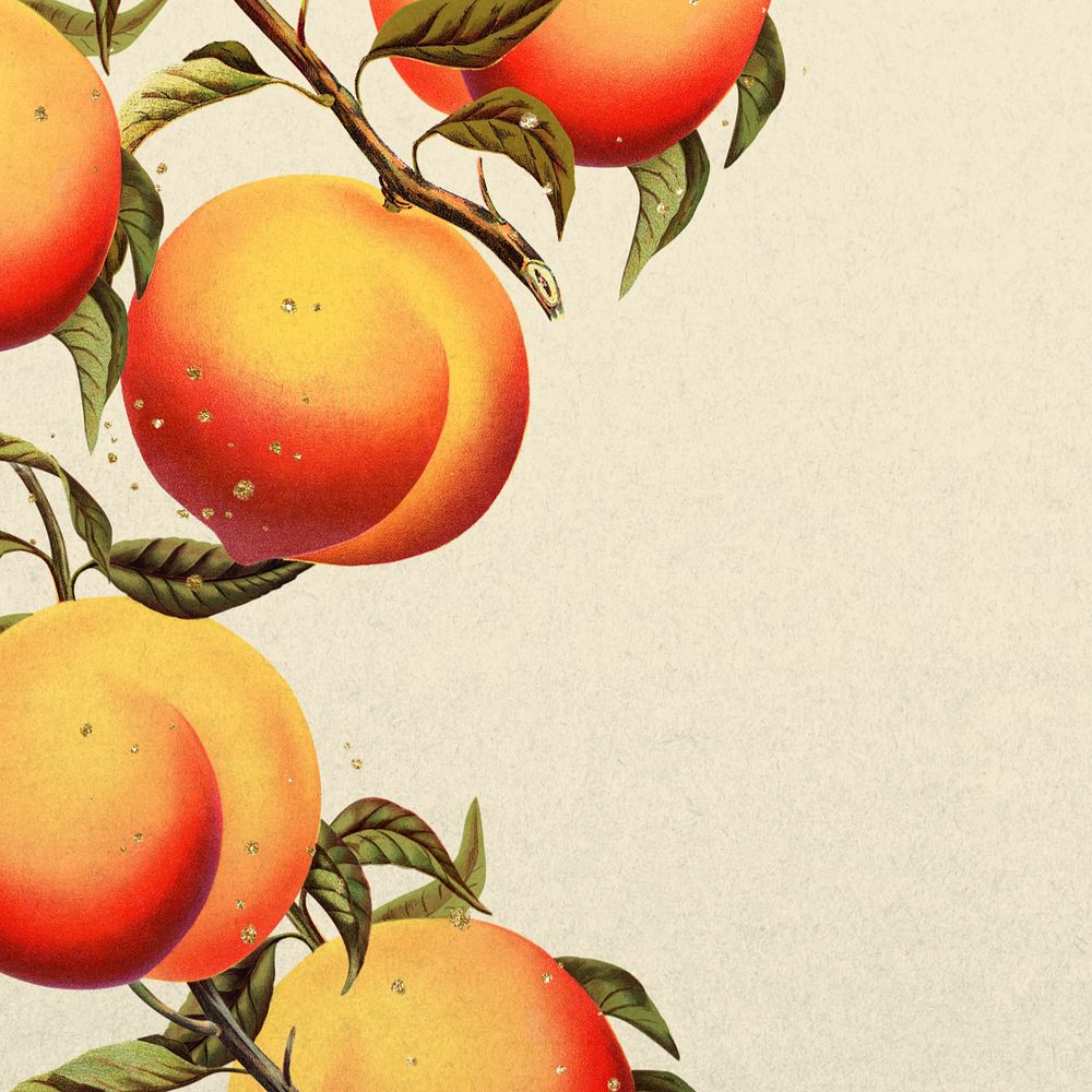 Apricot border, vintage illustration, editable design