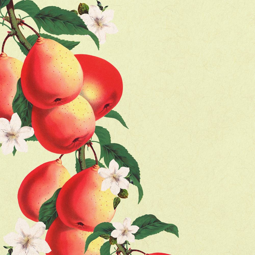 Pear border, vintage illustration, editable design