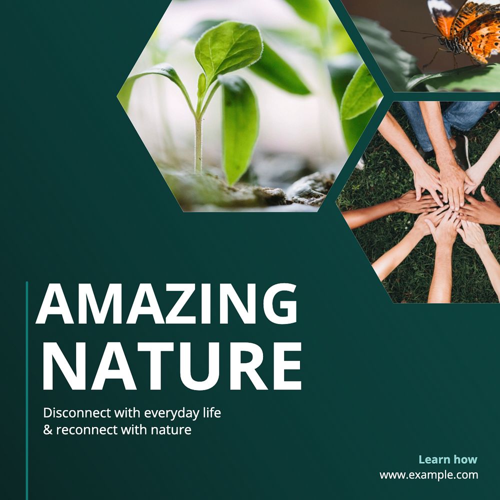 Amazing nature Instagram post template, editable text